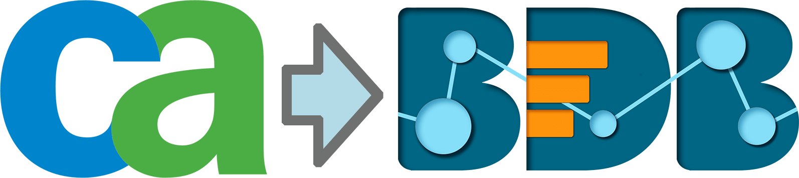 BDB Solutions For CA PPM Analytics