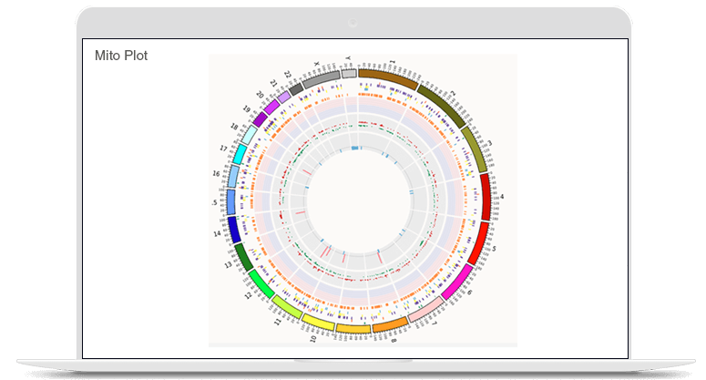 Bizviz dashboard designer
