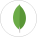 MongoDB